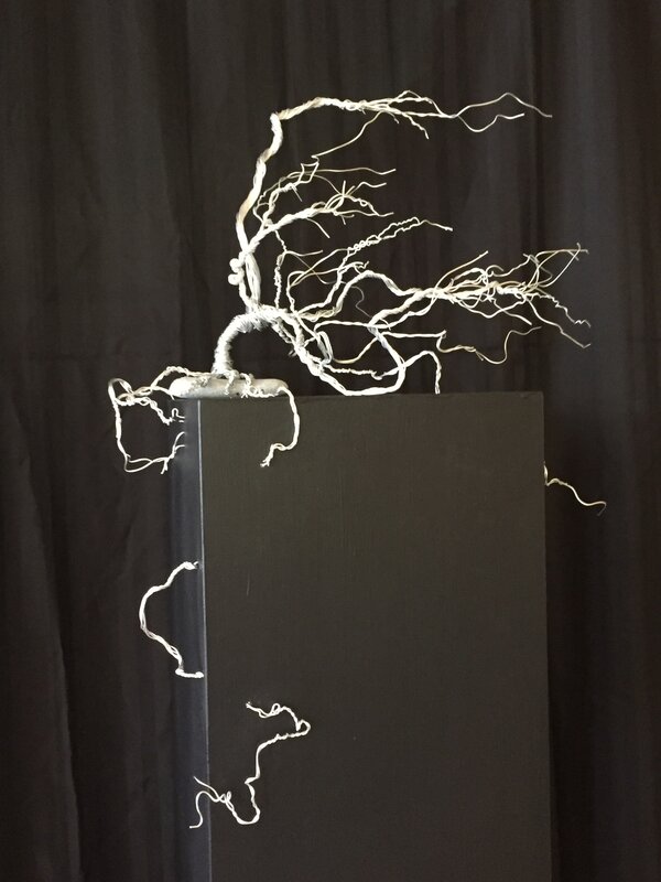 Moonah Tree - Therese Coffey