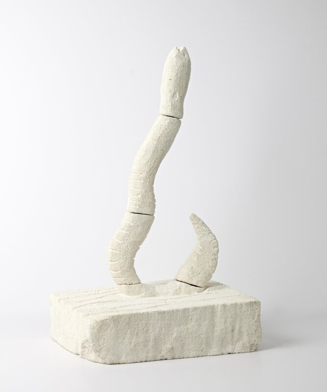 Budj Bim eel - Dylan Goodman