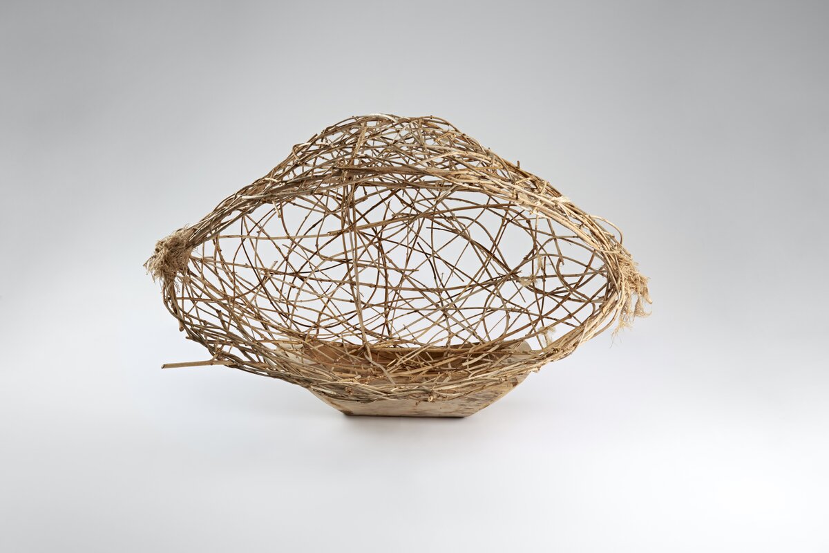 Empty Nest - Anne Murphy