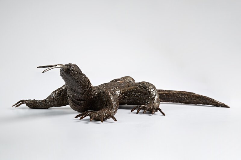 Monitor Lizard - Phillip Petrie